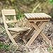 The Queen's Treasures Gombe Rainforest Wooden 18 Inch Doll Camp Research Table & Chair Set Inspired by Dr. Jane Goodall! Outdoor Adventure Furniture & Accessories Fits American Girl