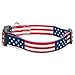 American Flag Dog Collar in 5 Different Sizes Classic (Medium)