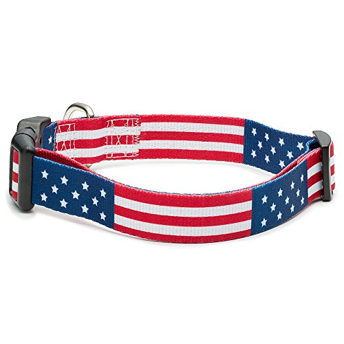 American Flag Dog Collar in 5 different sizes (Medium)
