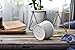 Planter Pots Indoor,6 inch Modern Plants and Planters Garden White Ceramic Round Bowl with Metal Stand for Succulent Planter Cactus (White + Gold)