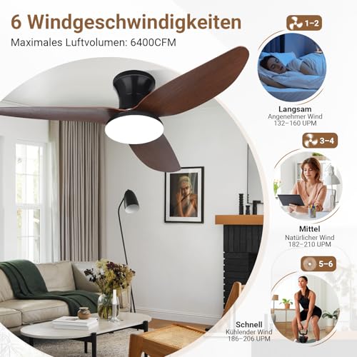 Ceiling Fan with Lighting, Ø100cm App Control & Remote Control, Ceiling Light with Fan, 6 Speed, 3 Variable Colors, Silent DC Motor, Summer-Winter Operation, Timer