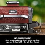 Ninja Woodfire Outdoor Grill Smoker Air Fryer 7 Functions Red/Black view 10