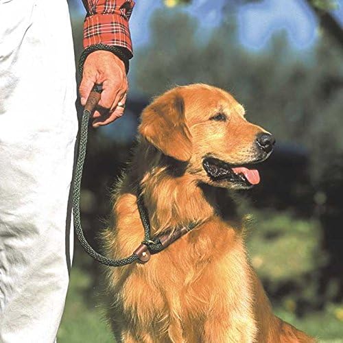 slip solid dog lead