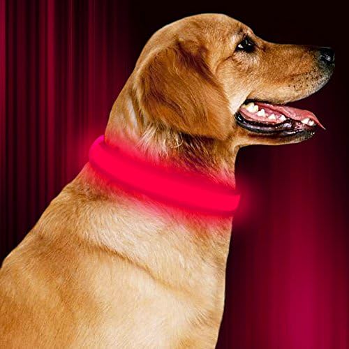 LED Dog Collar, Power Battery Nylon Reflective Side Dog Collar, Adjustable Flashing Light Pet Collar, Makes Your Pet Safe and Seen for Small Medium Large Dogs by Vizbrite (Pink M)