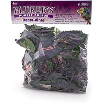Fluker's Repta Vines-Purple Coleus for Reptiles and Amphibians