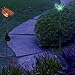 Solar Butterfly and Bumble Bee Holiday Garden Lighting Path Decoration Outdoor Lights Color Changing Patio Lawn Deck Backyard Decor by SolarDuke
