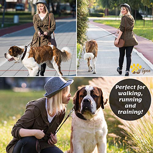 ADITYNA - Heavy Duty Leather Dog Leash 6 Foot - Strong and Soft Leather Leash for Extra Large, Large and Medium Dogs - Dog Training Leash (XL - 6 ft x 1 inch, Brown)