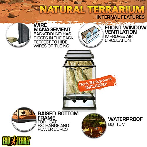 Exo Terra Glass Terrarium Kit, for Reptiles and Amphibians, Mini Tall