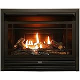 Duluth Forge Vent Free Dual Fuel Ventless Gas Fireplace Insert-26,000 BTU, Remote Control, FDF300R, Black