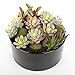 MyGift® 6 inch Realistic Artificial Faux Mixed Succulent Plants Arrangement w/Black Round Ceramic Vase