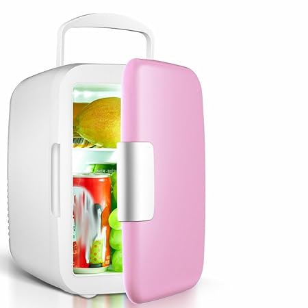 GBT 4L coche frigorífico coche mini-nevera de doble uso mini ...