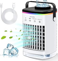 Portable Air Conditioner Cooling Fan, LEAEYFE