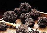 Black Truffle Mushroom (Tuber melanosporum) Mycelium Spawn Dried Seeds (10g)