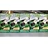 Fujifilm QuickSnap 400 Speed Single Use Camera with Flash (5-Pack)