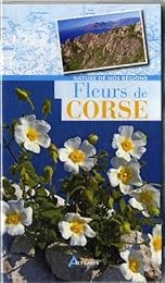 Fleurs de Corse