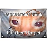 3x5 Feet Cats Meme Flag with Quote "Sometimes I Think But Then I Forget" with Four Brass Grommets - Polyester College Dorm Banner for Room Decoration - Single Sided Animals Tapestry Quotes Banner
