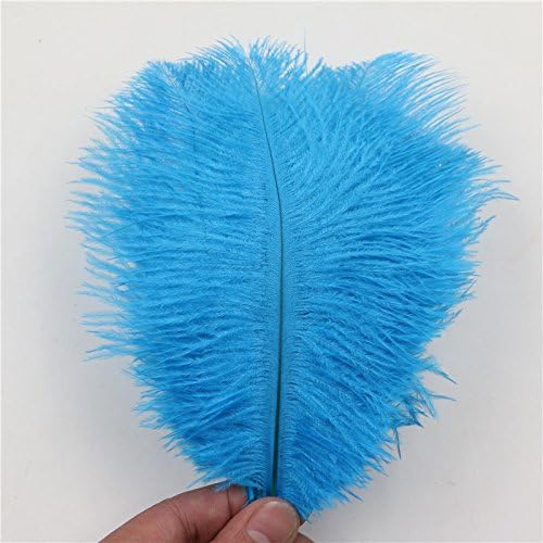 WAKEACEOstrich Feathers 20 Pieces 7-10 Inch 18-24CM DIY Wedding Dress Feather Dance Craft