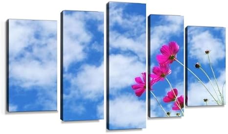 Amazon Co Jp コスモス 秋桜 花 秋 植物 空 青空 赤 風景 ピンク 自然 背景 雲 ブルースカイ Sky 秋空 初秋 キク科 白い雲 キャンバスアート アートボード 壁掛け装飾 おしゃれ 部屋飾り インテリアパネル 絵画 ポスター 木枠付きの完成品 ホーム キッチン