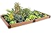 Frame It All Raised 1 Level Garden, 4 by 8'