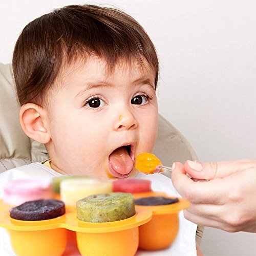Kitchen Kings - 2-pack (green/orange) Baby Food Freezer Mold, Egg bites fits instant pot 5,6,8 qt pressure cooker, 7 cups storage tray clip on lid