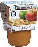 Gerber 3rd Foods Banana Apples Mango with Lil' Bits, 5 Ounce Tubs, 2 Count (Pack of 6)