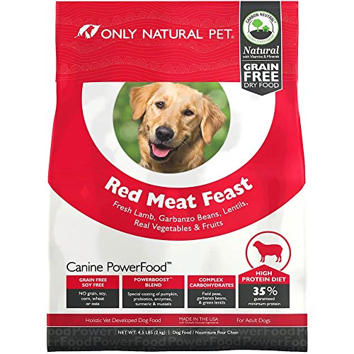 10 best meat only dog food