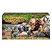 Heroscape Swarm of the Marro Game Set