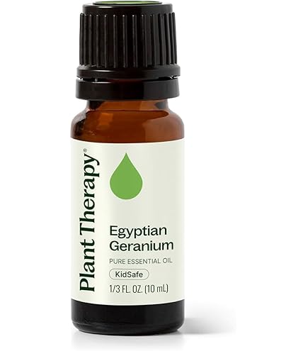 Amazon.com: Egyptian Lavender Oil 10 mL – Sahu Sacred® Temple