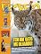 Livro Revista Recreio - 31/05/2024