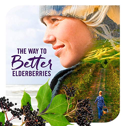 Nature's Way Sambucus Elderberry Syrup - Image 10