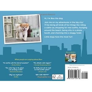 Boo: Little Dog in the Big City