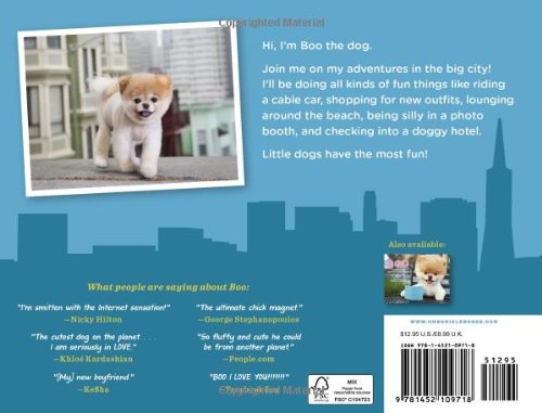 boo little dog in the big city