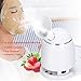 Facial Mask Machine with Steamer Function 2 in 1 Multi-function Automatic DIY Natural Fruit and Vegetable Mask Maker(US Plug)
