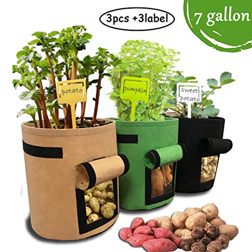 JOYHILL 3Psc 7 Gallon Plant Potato Grow Bags Planting Fabric Smart Pots Cloth Bags Plant Container with Handles and Velcro Window