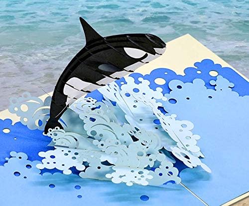 CUTPOPUP Orca Whale, Nephew Birthday Card, Birthday Cards for Men Birthday Cards for Women Daughter, Son, Kids, Nephew, Niece