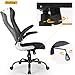OWLN Ergonomic High Back Mesh Office Chair with Adjustable Headrest and Armrest Desk Chair