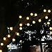 LELLEL 3rd Generation Super Bright Solar Outdoor LED String Lights, Waterproof Weatherproof for Yard Patio Garden Tree Party Wedding Decoration, Warm White 21ft Snow Ball 8 Working Mode