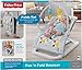 Fisher-Price Fun and Fold Bouncer