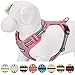 Blueberry Pet 9 Colors Soft & Comfy 3M Reflective Multi-Colored Stripe Mesh Padded No Pull Dog Harness Vest with Back Leash Clips, Large, Pink, Emerald & Orchid
