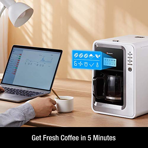 HAUSWIRT Kaffeemaschine, Kaffeevollautomat 3 Mahlgrade, Warmhalteplatte & Abschaltautomatik, Abnehmbarer Wassertank… – Bild 3
