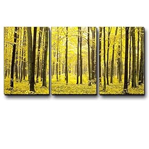 Three Piece Canvas - Tree Forest During Fall Time with Yellow Leaves on The Ground on 3 Panels - Canvas Art Home Art - 16x24 inches