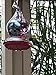 Gnarly Hummingbird Feeder by Grateful Gnome - Large Hand Blown Stained Glass Feeder for Garden, Patio, Outdoors, Window with Accessories S-Hook, Ant Moat, Brush - 16 fl oz, Gnarly Rainbow Design