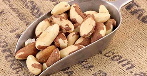 Freshly Roasted Brazil Nuts with Sea Salt (1 Lb.) - Super Crunchy - Roasted to Perfection in Small Batches for Added… - Image 7