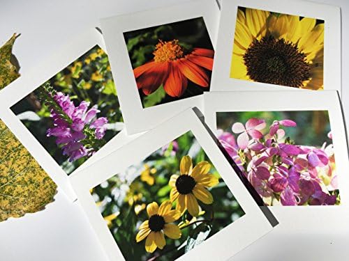 Nature Photography Gift Cards / Message Cards, Sets of 5 in 4 Styles - Exquisite 2.75 inch Cards with Envelopes &amp; Resealable Sleeve, Premium paper &amp; inks