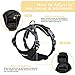 Eagloo Cat Harness Escape Proof Small Cat and Dog Harness Soft Mesh Harness Adjustable Cat Vest Harness with Reflective Strap Metal Clip Cat Walking Jacket Comfort Fit for Kitten Puppy Black X-Small