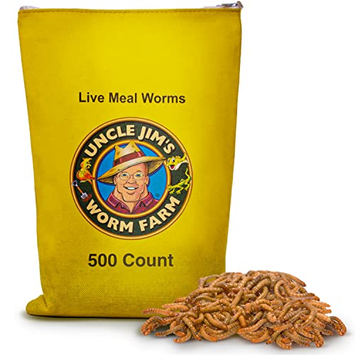 Uncle Jim's Worm Farm Live Mealworms for Reptiles and Chickens Mealworms for Feeding Lizard