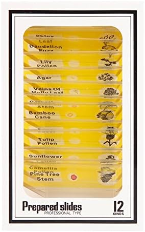 Scientoy 12 Pcs Prepared Microscope Slides Set for Basic Biology Education,Plant