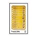 Scientoy 12 Pcs Prepared Microscope Slides Set for Basic Biology Education,Plant