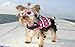 Dog Life Jacket Pet Life Preserver Reflective Stripes Vest Saver Coat Flotation Float Life Jacket Aid Buoyancy Doggy (XXS, Rose)