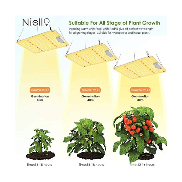 Niello 1200W LED Grow Lampe, Pflanzenlampe Vollspektrum, UV & IR fÃ¼r Zimmerpflanzen, Pflanzenlicht mit dimmbarer, Daisy Chain Funktion fÃ¼r VEG, Blumen. – Bild 7